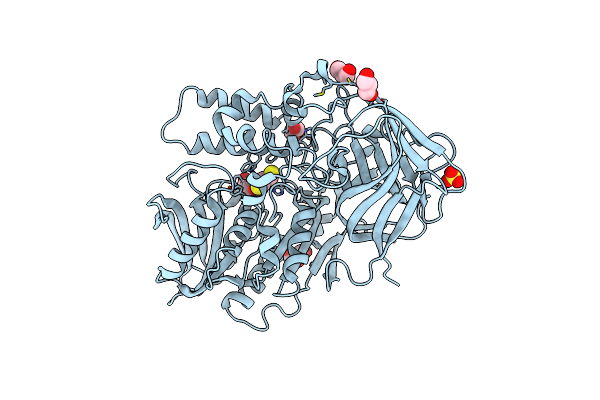 3I2H image