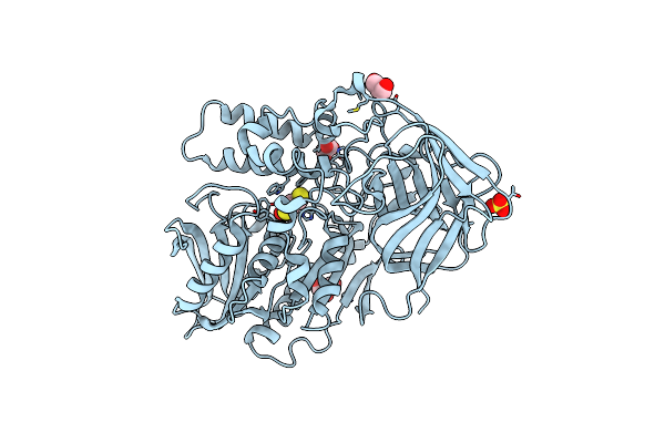 3I2I image