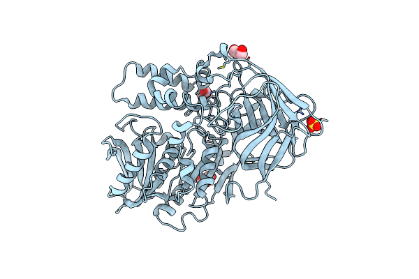 3I2J image