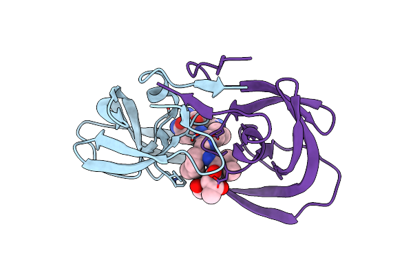 3I2L image
