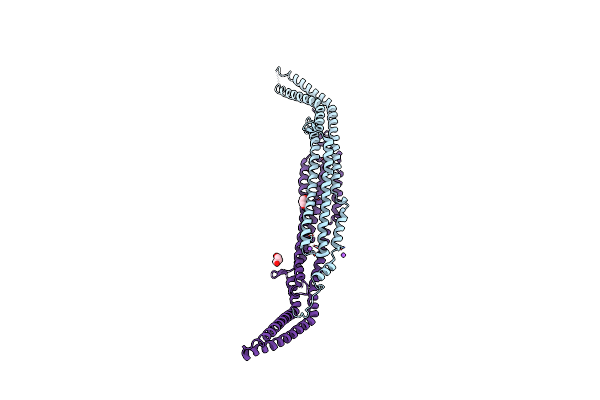 3I2W image