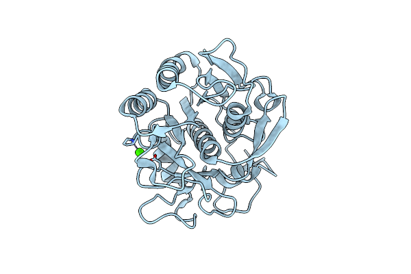 3I2Y image