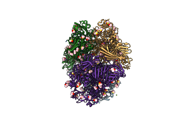 3I3B image