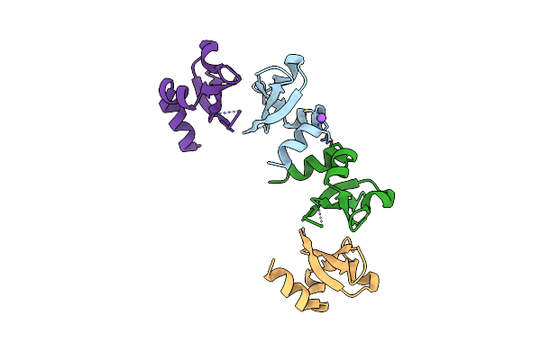 3I3C image