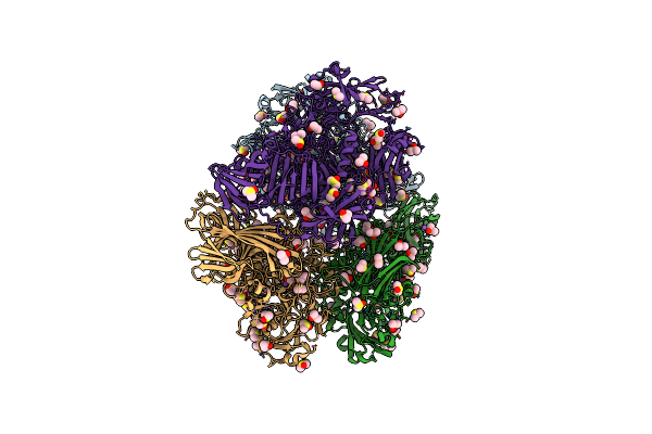3I3D image