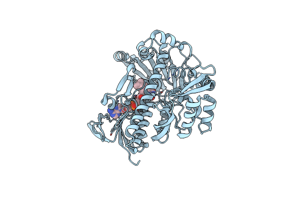 3I3L image