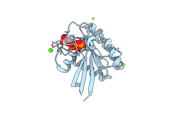 3I3S image