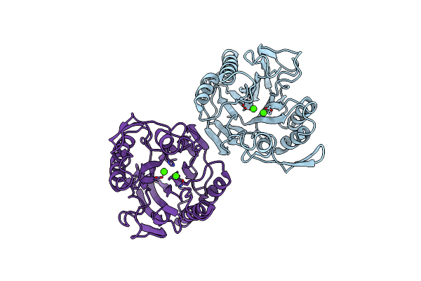 3I46 image