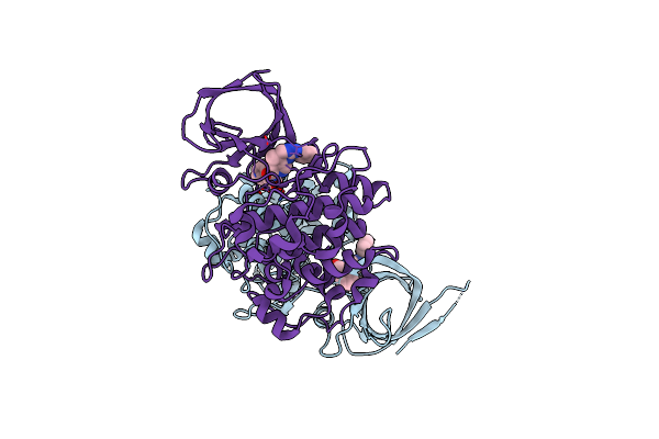 3I4B image