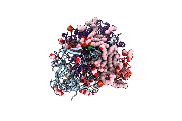 3I4D image
