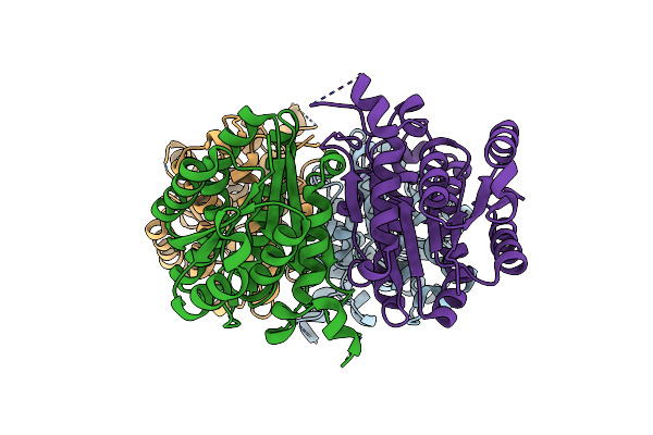 3I4F image