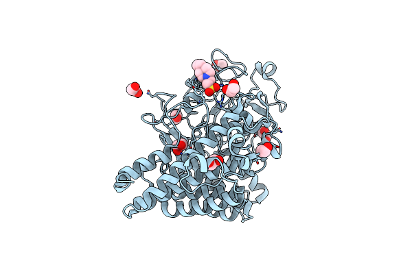 3I4G image