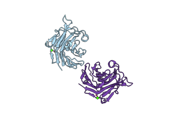 3I4I image