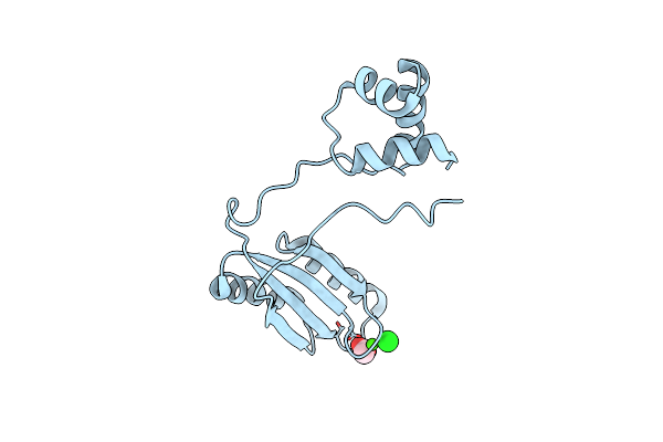 3I4P image