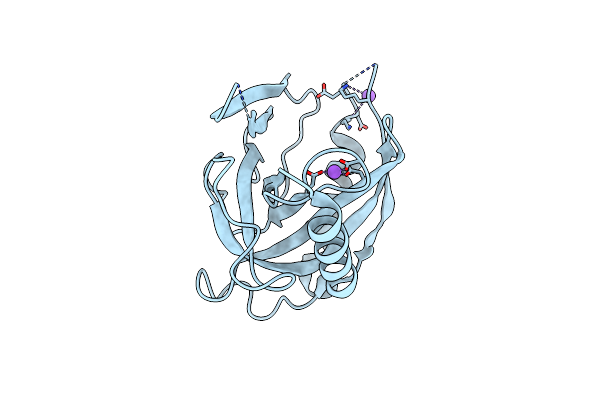 3I4Q image