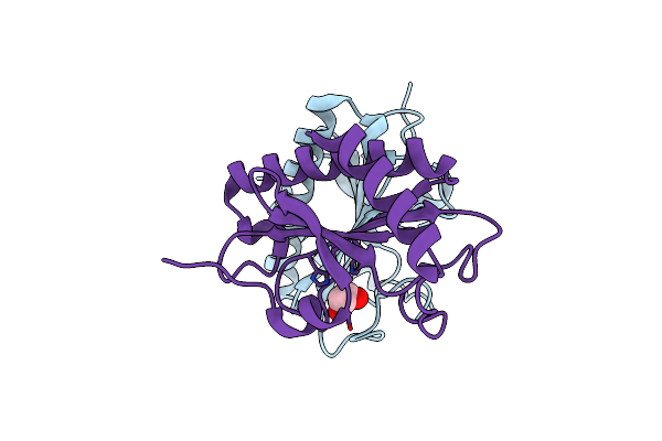 3I4S image