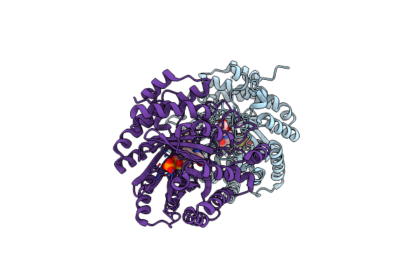 3I4X image