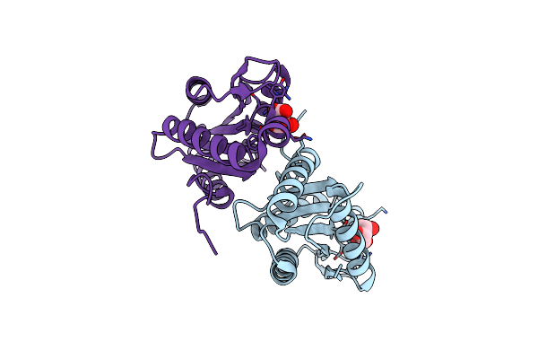 3I5B image