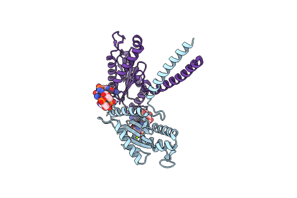 3I5C image