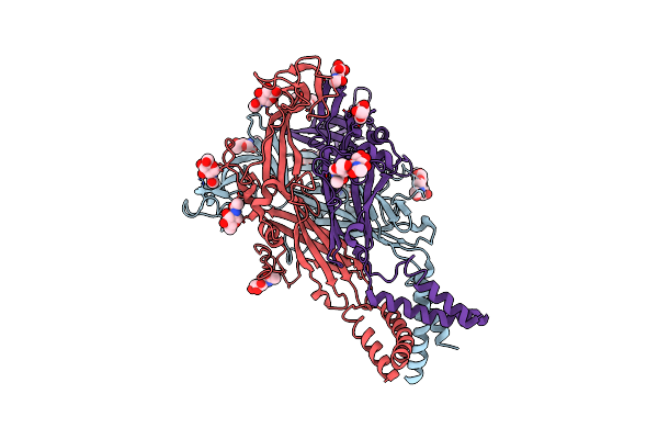 3I5D image
