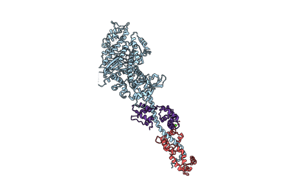 3I5H image