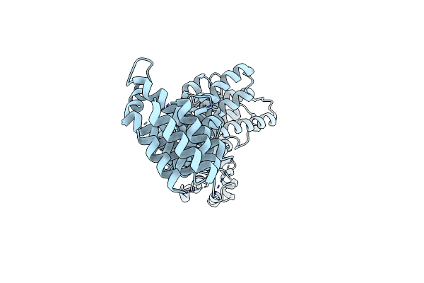 3I5P image