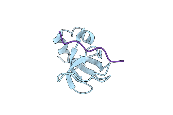 3I5R image