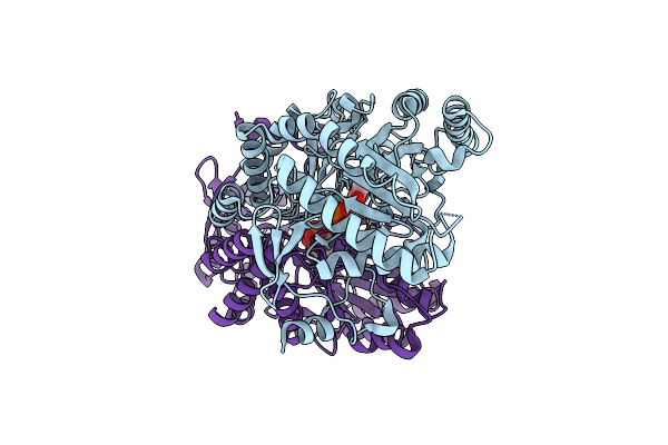 3I5T image