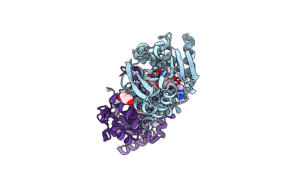3I64 image