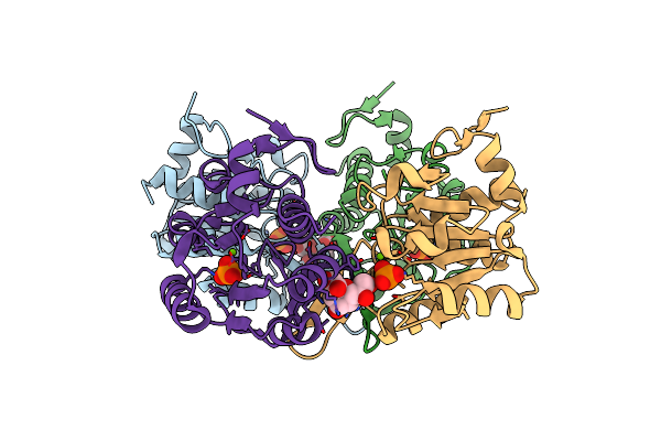 3I6B image