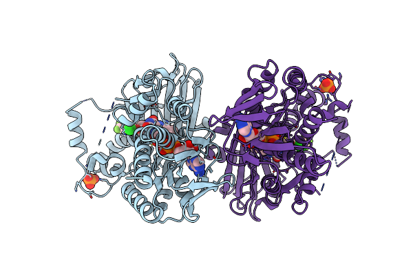 3I6D image