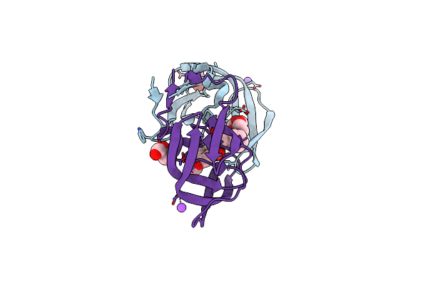 3I6O image