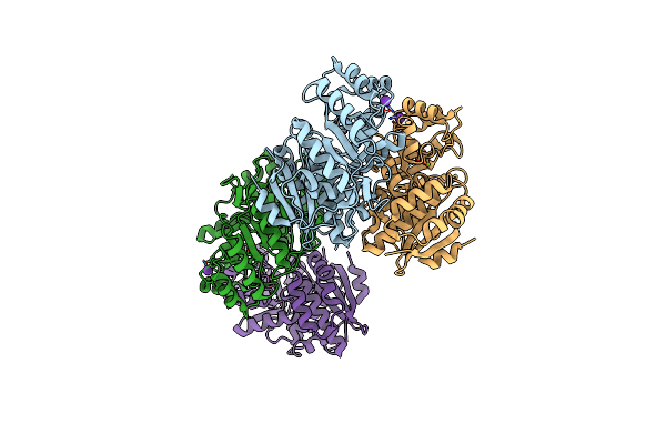3I6T image