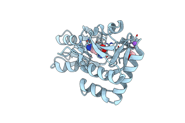 3I6V image