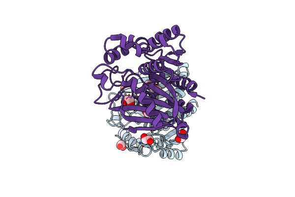 3I6Y image