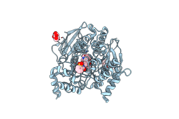 3I6Z image