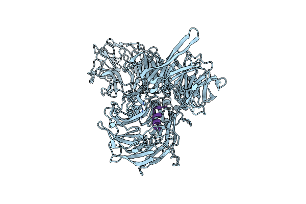 3I7P image