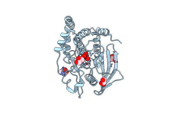 3I80 image