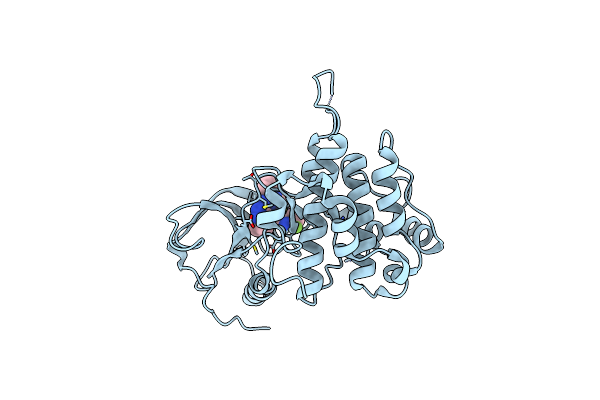 3I81 image