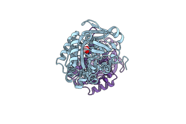 3I83 image