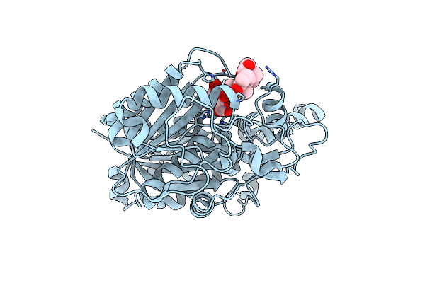 3I8P image
