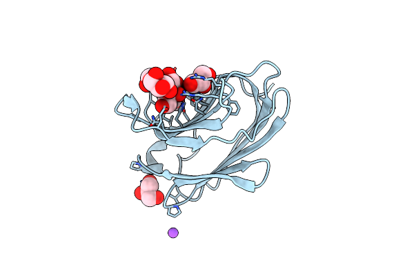 3I8T image