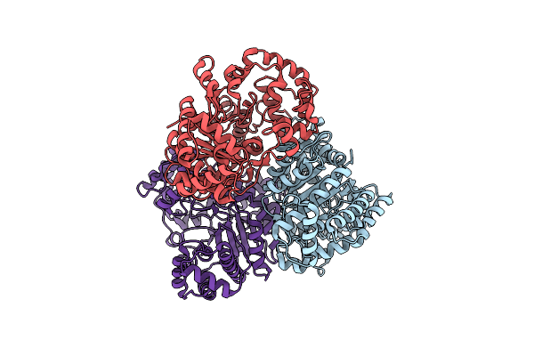 3IAC image
