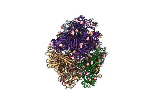 3IAP image