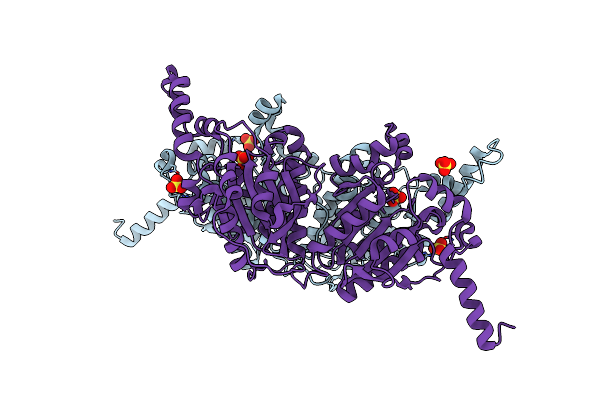 3IAV image