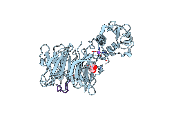 3IAX image