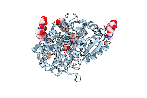 3IB2 image