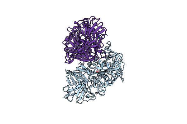 3IB3 image
