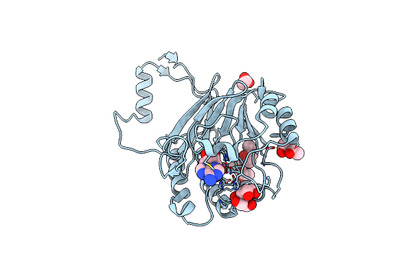 3IB8 image