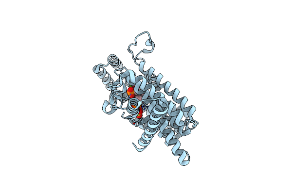 3IBA image
